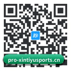 系统版 iOS 二维码